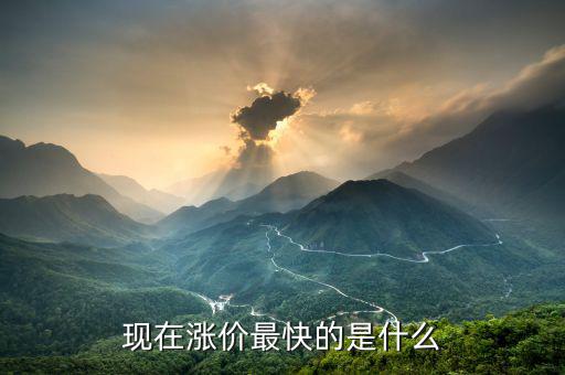 什么漲價(jià)快，大家猜猜看 什么東西會(huì)漲價(jià)的很快