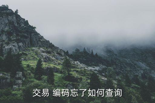 中金編碼怎么查,如何查看海關(guān)進出口簿編碼?
