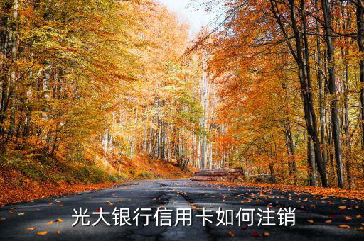 光大銀行銷(xiāo)戶(hù)授權(quán)書(shū)怎么寫(xiě),光大銀行信用卡怎么辦理銷(xiāo)戶(hù)