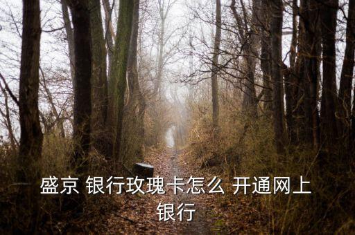  盛京 銀行玫瑰卡怎么 開通網上 銀行