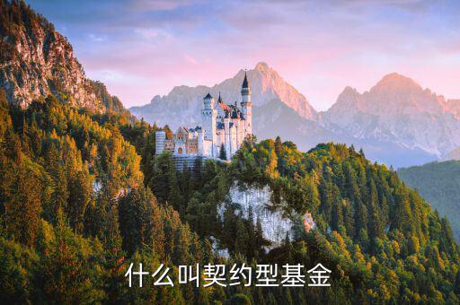 什么是合同型基金，什么叫契約型基金
