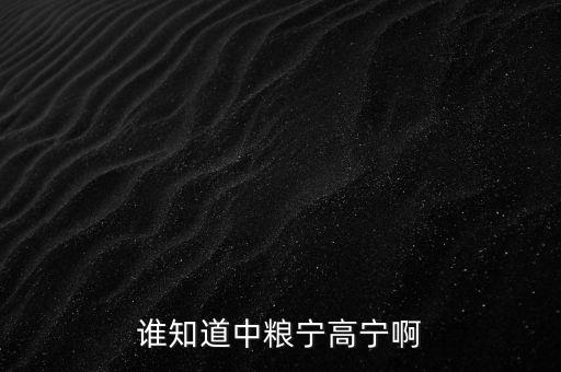 寧高寧為什么離開華潤，誰知道中糧寧高寧啊