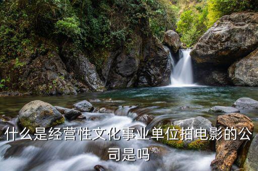 什么是經營性事業(yè)單位，哪些屬于經營性文化事業(yè)單位