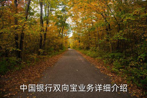 中行雙向?qū)毷鞘裁?，中?guó)銀行雙向?qū)殬I(yè)務(wù)詳細(xì)介紹