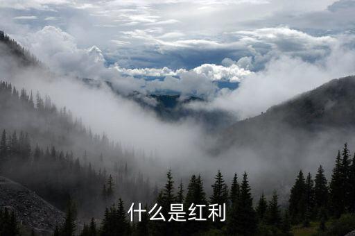 什么是全球化紅利，紅利是指什么意思