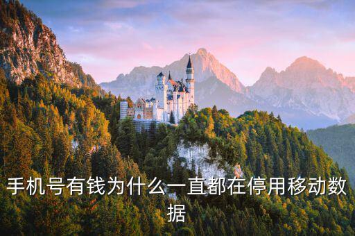 鏈動數(shù)據(jù)為什么有錢，廣東鏈動為什么那么多人認同和喜歡