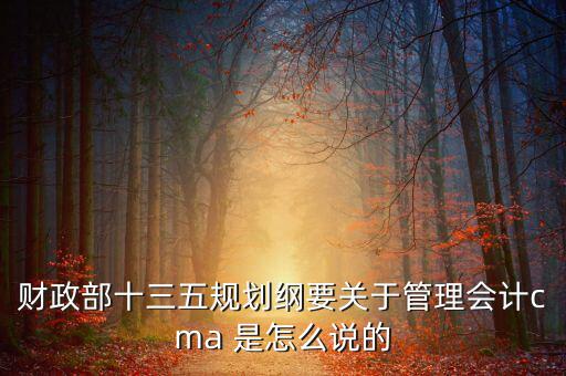 財(cái)政部對(duì)什么有具體規(guī)劃，財(cái)政部每年的具體招人計(jì)劃是怎么制定的或者那些公務(wù)員的職
