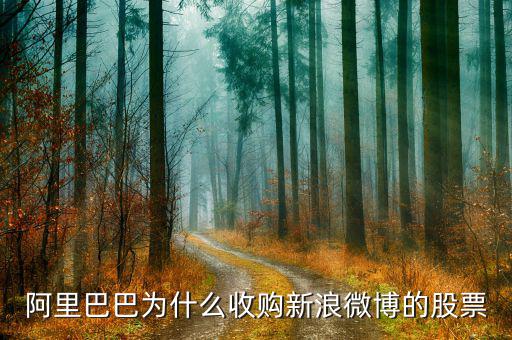 新浪微博為什么在盈利后才上市，新浪微博為何上市