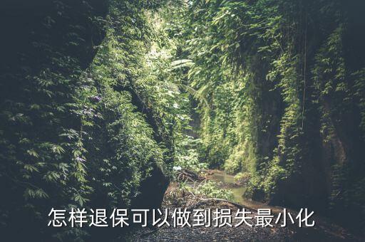 什么辦法能退保險不損失，退保怎樣能減少損失