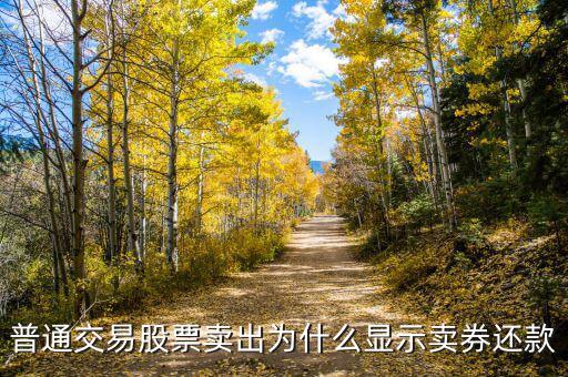 賣完股票后為什么還顯示負債，為什么融資買股票賣完后還有欠款