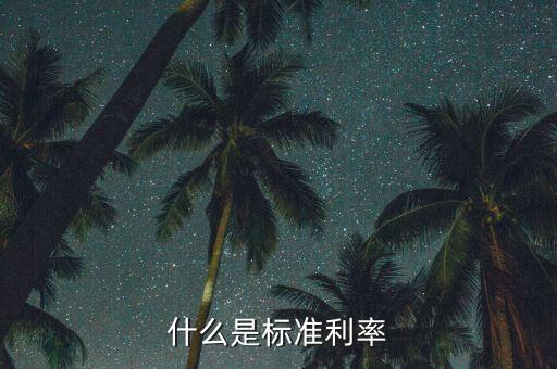 利率屬于什么指標(biāo)，什么是標(biāo)準(zhǔn)利率