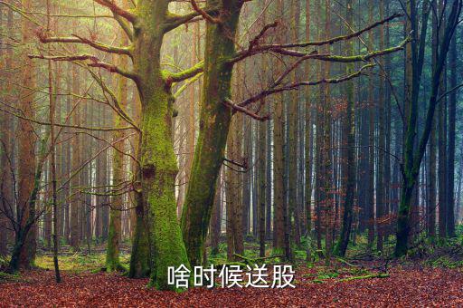 鐵嶺新城什么時候送股，大家都說它出的中報好但我不知道怎么看我只想問問什么么時候