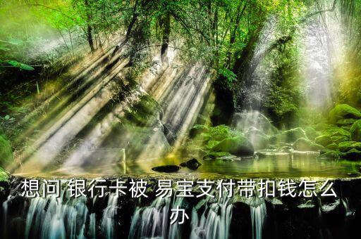 銀行卡轉(zhuǎn)賬被騙到易寶怎么辦