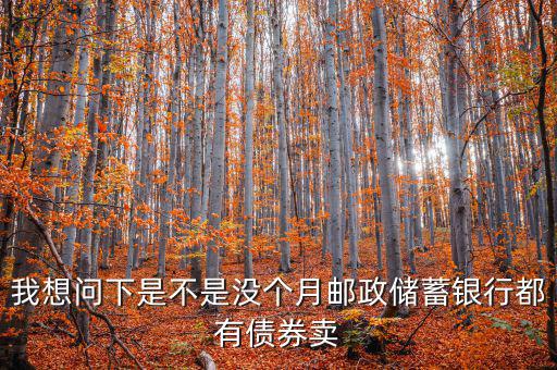 什么時(shí)候銀行承銷債券，政策性金融債承銷分銷流程