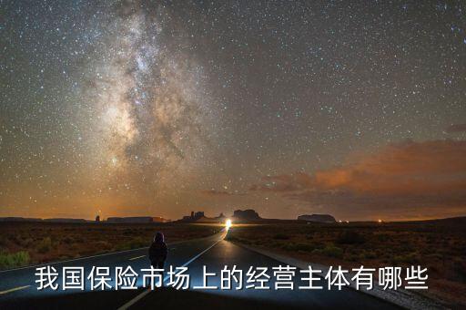 我國保險市場上的經營主體有哪些