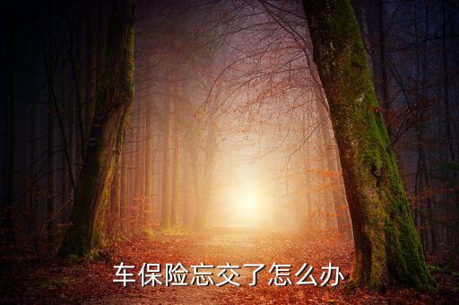 車險(xiǎn)忘了續(xù)保怎么辦,保險(xiǎn)到期忘買(mǎi)怎么辦?三招助你續(xù)保