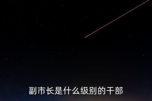 重慶市副市長是什么級別，重慶副市長是什么級別