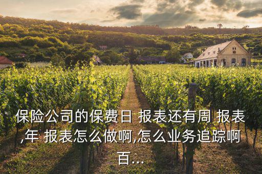保險(xiǎn)行業(yè)報(bào)表怎么看
