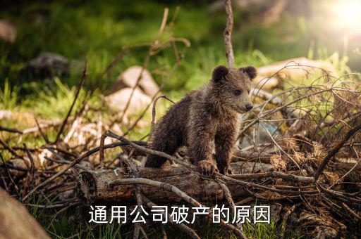 美國通用公司為什么會破產(chǎn)，美國通用汽車集團為什么會破產(chǎn)