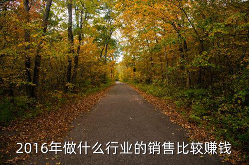 2016年做什么行業(yè)的銷(xiāo)售比較賺錢(qián)