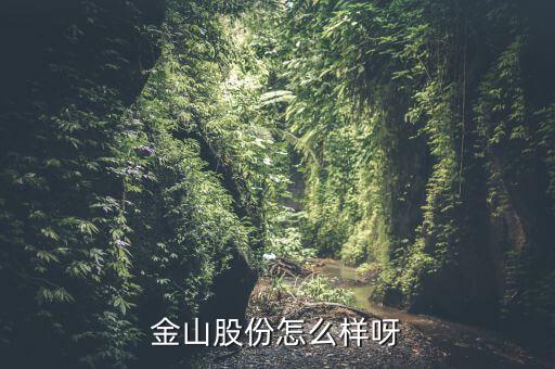 為什么沒人關(guān)注金山股份，金山股份怎么樣呀