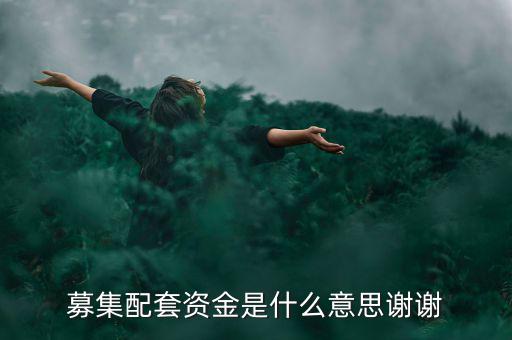 配股募資是什么意思，配股是什么意思啊