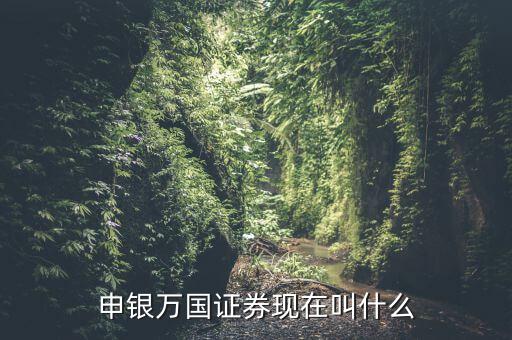申銀萬(wàn)國(guó)并什么證券公司了，申銀萬(wàn)國(guó)證券現(xiàn)在叫什么