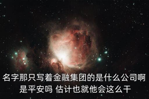 中生金控屬什么企業(yè)，我國四大金融控股公司是什么