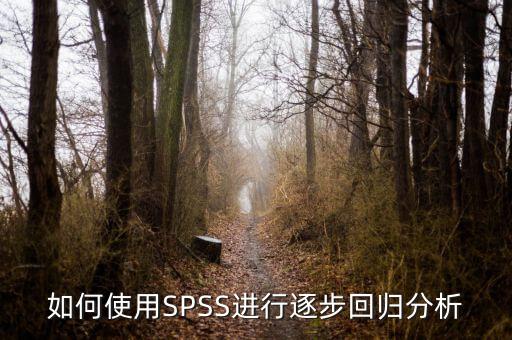 逐步回歸用什么軟件，關(guān)于spss相關(guān)分析和逐步回歸分析之間的一些疑問