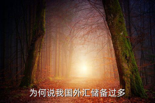 為何說我國外匯儲(chǔ)備過多
