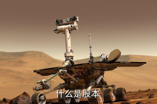 股票股本是什么意思，股本的概念
