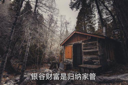 國家對銀谷財富是什么整策，銀谷財富是歸納家管