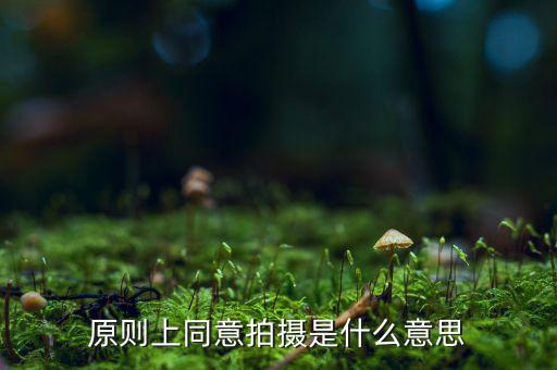原則上同意是什么意思，原則上同意是什么意思