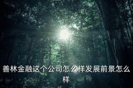 善林公司經(jīng)營什么，善林金融這個公司怎么樣發(fā)展前景怎么樣
