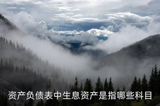 什么是生息負(fù)債，什么是速動(dòng)資產(chǎn)流動(dòng)負(fù)債和生息債務(wù)