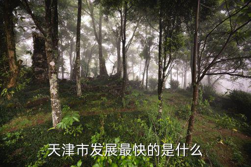 天津靠什么發(fā)展，天津市發(fā)展最快的是什么