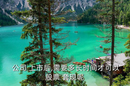 公司上市怎么套現,上市公司的原始股有何來頭?