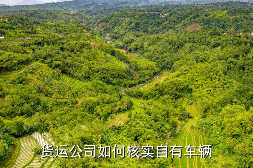 貨運(yùn)資產(chǎn)是什么意思，貨運(yùn)公司如何核實(shí)自有車輛