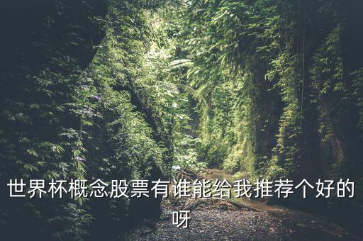 世界杯什么股票好，世界杯概念股票有誰能給我推薦個好的呀