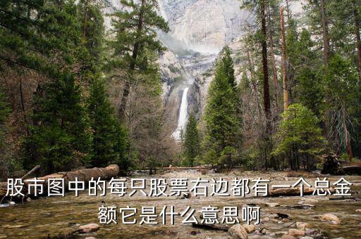 股市圖每只股票的總量是什么意思，股票總量是什么意思