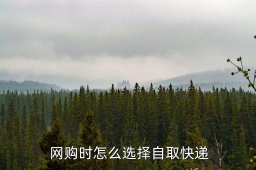  網(wǎng)購時(shí)怎么選擇自取快遞