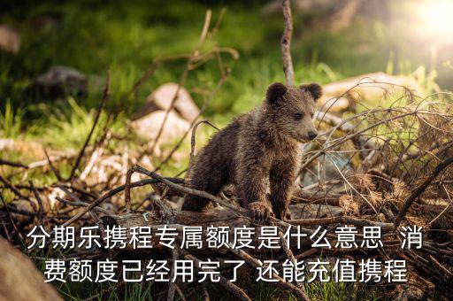 分期樂消費額度是什么意思，分期樂免息額度是什么意思