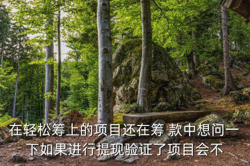 輕松籌提現(xiàn)有什么審核，輕松籌審核條件