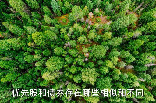 境外優(yōu)先股是什么，優(yōu)先股試點(diǎn)是什么說(shuō)的詳細(xì)點(diǎn)