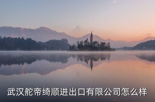 漢口北電商集團怎么樣,阿里巴巴在國內(nèi)創(chuàng)辦第一所淘寶商學(xué)院