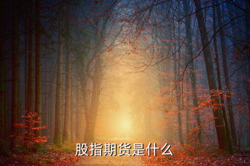 股指期貨是什么