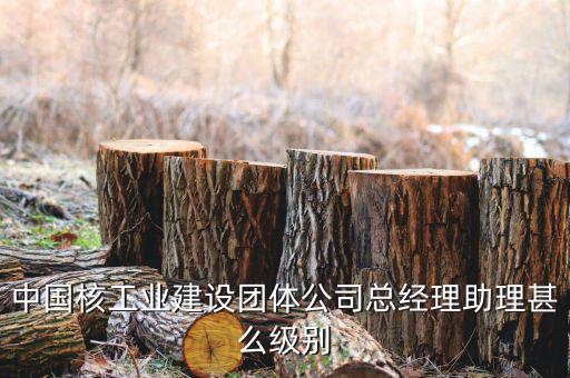 中國核工業(yè)集團什么級別，中國核工業(yè)建設(shè)團體公司總經(jīng)理助理甚么級別