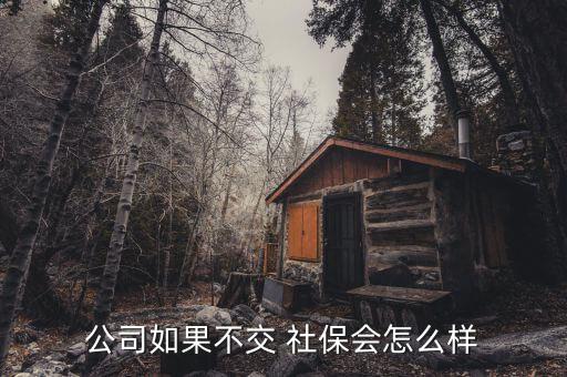 不買社保會(huì)怎么樣,用人單位無故不繳納社會(huì)保險(xiǎn)費(fèi)可加收滯納金