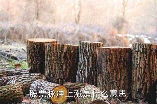 什么是脈沖式上漲，脈沖上升時間什么意思