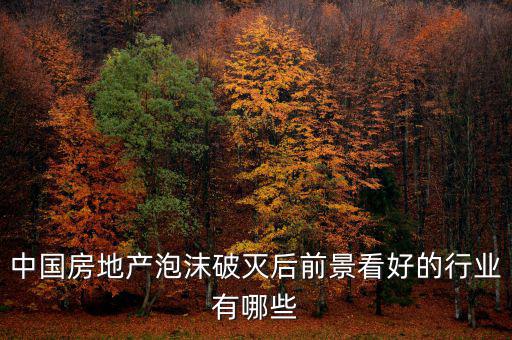 房地產(chǎn)泡沫后什么行業(yè)賺錢，如果真有一天中國(guó)房地產(chǎn)泡沫破了我們做點(diǎn)什么賺錢呢或者說(shuō)有